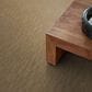 Anderson Tuftex Trace Carpet in Finial, , large