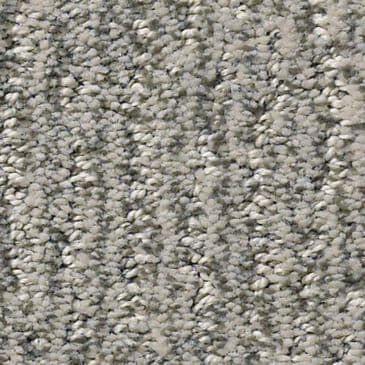 Anderson Tuftex Fur-Ever Carpet in Rockport, , large