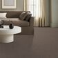 Shaw Chic Elevation Carpet in Chestnut, , large