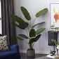 Maple and Jade 70" Artificial Strelitziaceae Tree in Green, , large