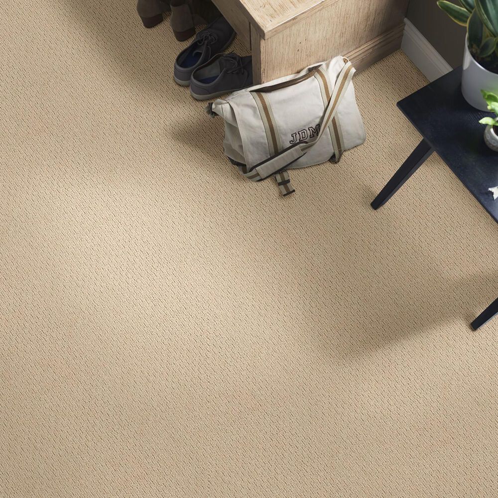 Anderson Tuftex Powerful Art Carpet in Baked Beige, , large