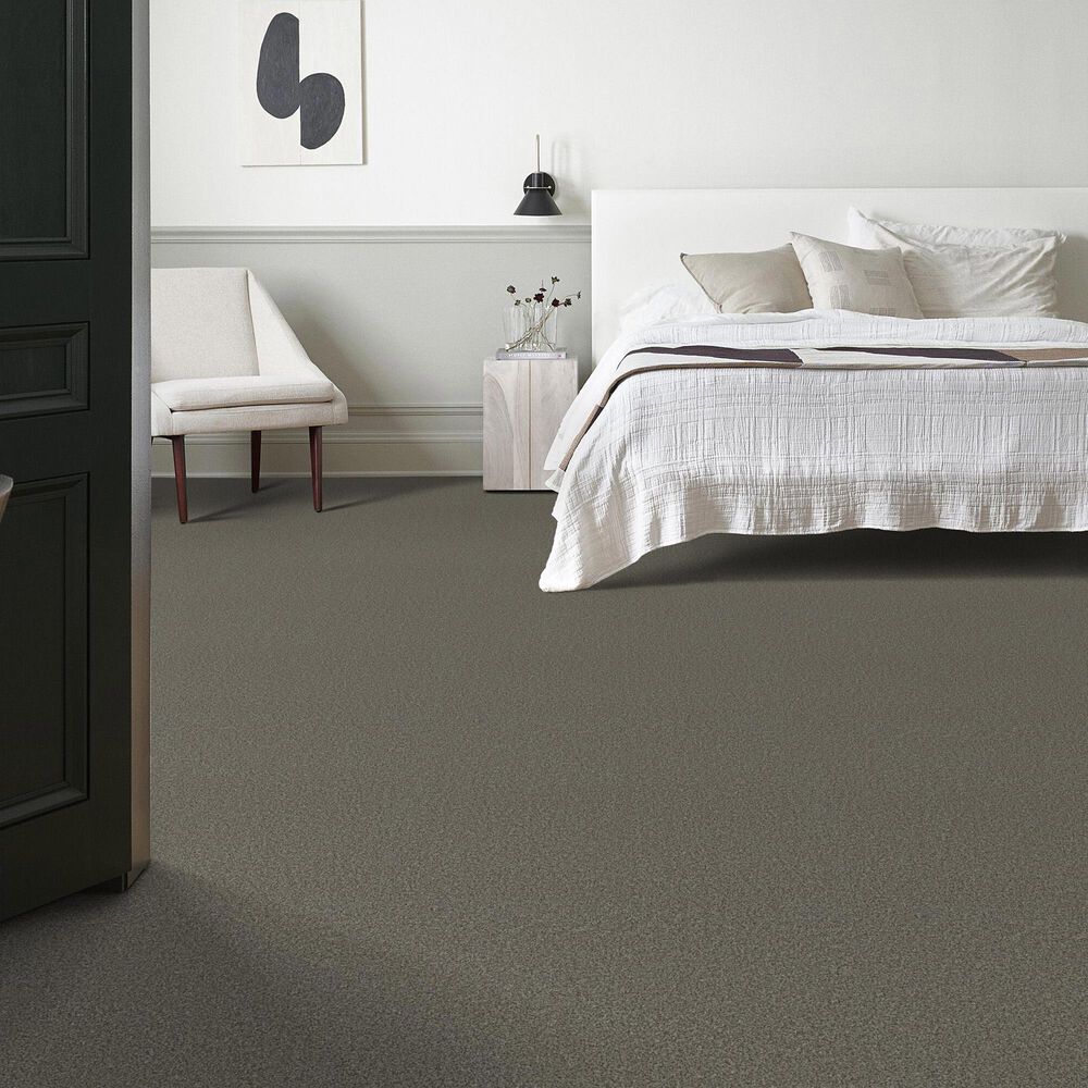 Anderson Tuftex Fabulous Carpet in Asphalt, , large