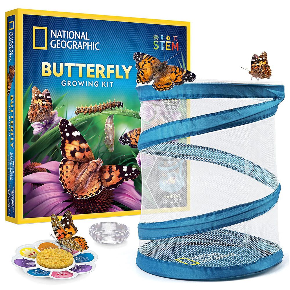 National Geographic Butterfly Growing Kit, , large