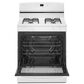 Amana 30" Freestanding Gas Range with Easy-Clean Glass Door in White, , large
