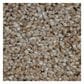 Dream Weaver Metropolitan Carpet in Acorn, , large