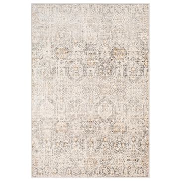 Surya Indigo IGO-2306 6"9" x 9" Black and Beige Area Rug, , large