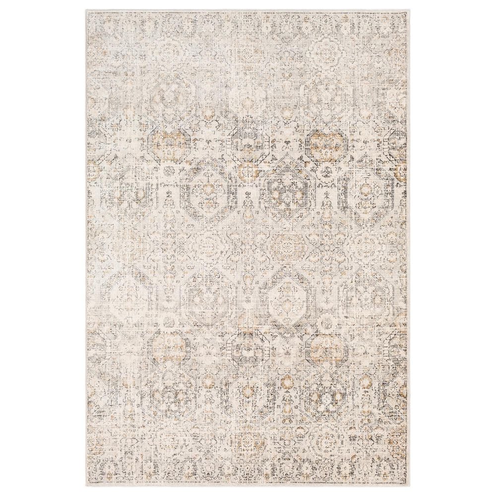 Surya Indigo IGO-2306 6"9" x 9" Black and Beige Area Rug, , large