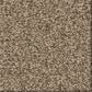 Shaw Comforting II Carpet in Studio, , large