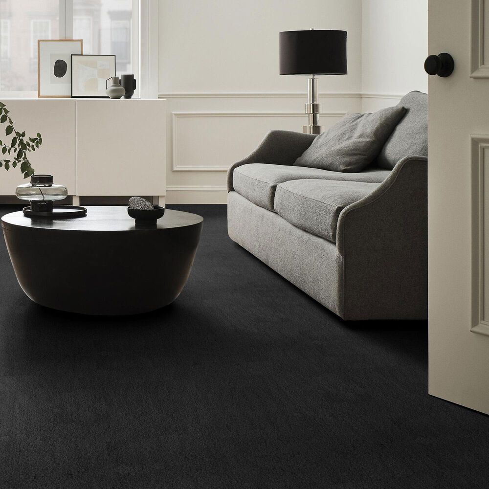 Anderson Tuftex Luxe Feel I Carpet in Blackout, , large