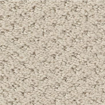 Shaw Austin Park Carpet in Alabaster, , large