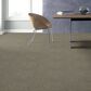 Shaw Carpet in Weathered, , large