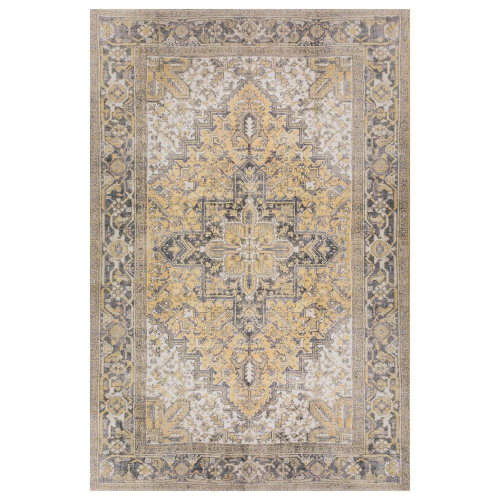 Dalyn Rug Company Amanti AM3 8"6" x 12"9" Gold Area Rug, , large