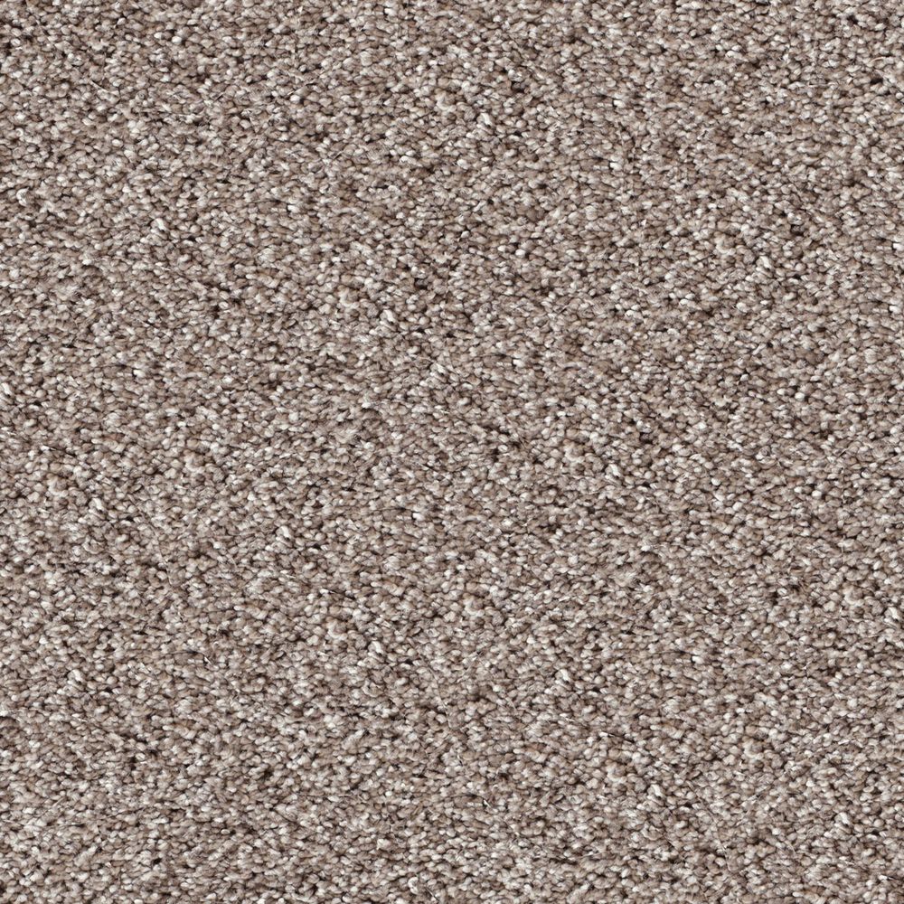 Dixie Home Swiss Alpine Carpet in Pinscher, , large