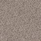 Dixie Home Swiss Alpine Carpet in Pinscher, , large