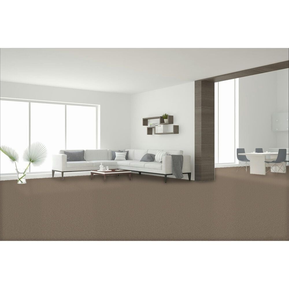 Dream Weaver Cape Cod Carpet in Acorn, , large