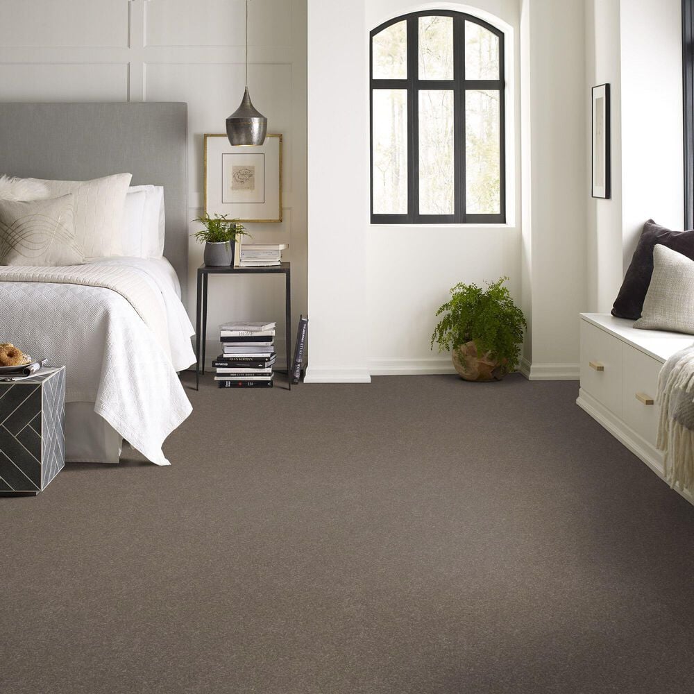 Shaw Hard At Play Iii Carpet in Cobblestone, , large