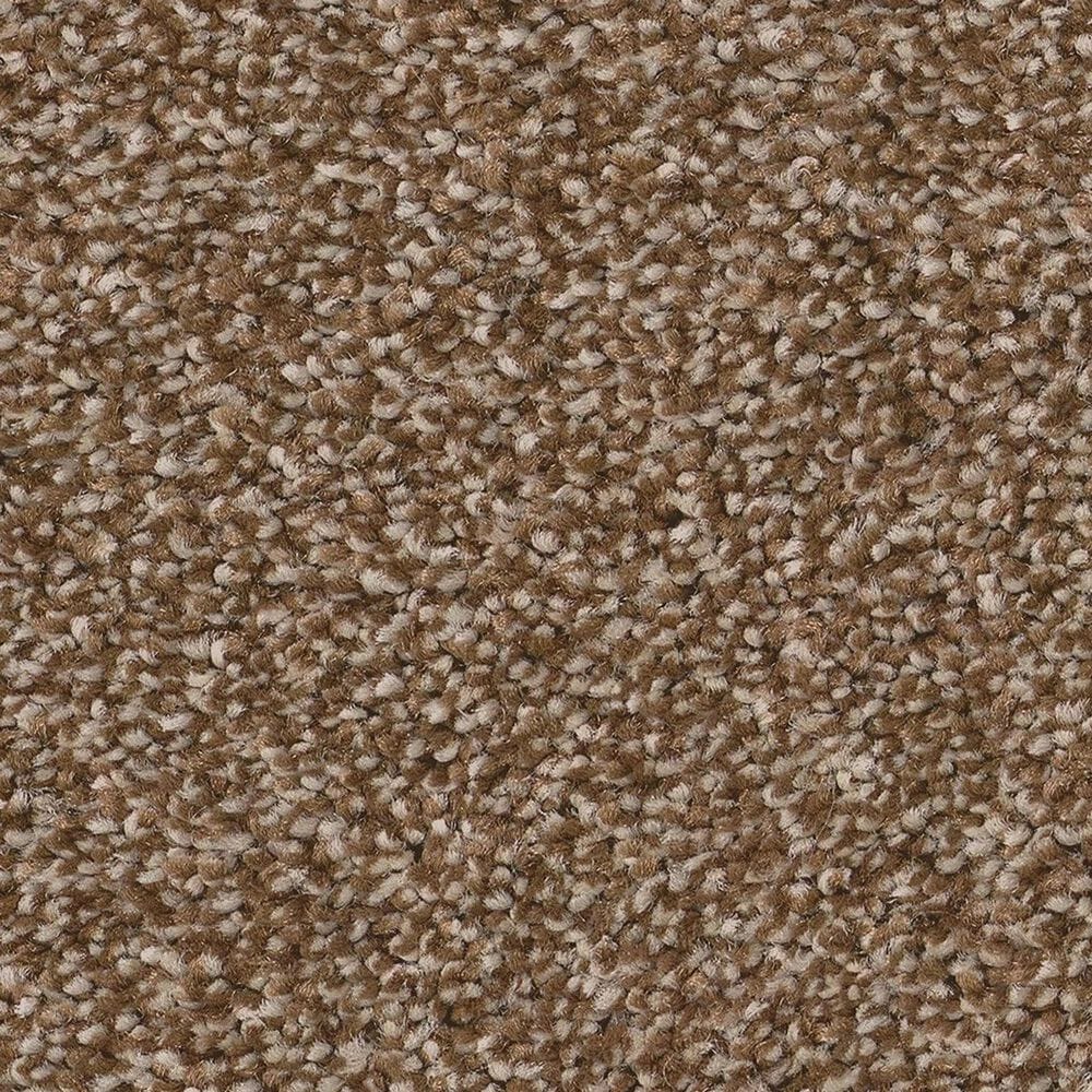 Anderson Tuftex Cypress Falls Carpet in Baked Clay, , large