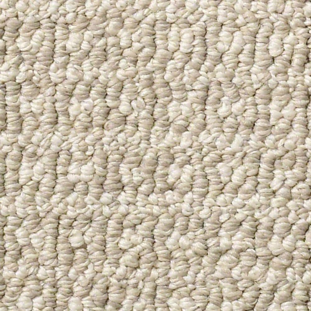 Anderson Tuftex Fetch Carpet in Birch, , large
