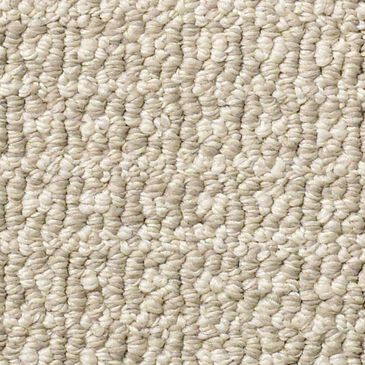 Anderson Tuftex Fetch Carpet in Birch, , large