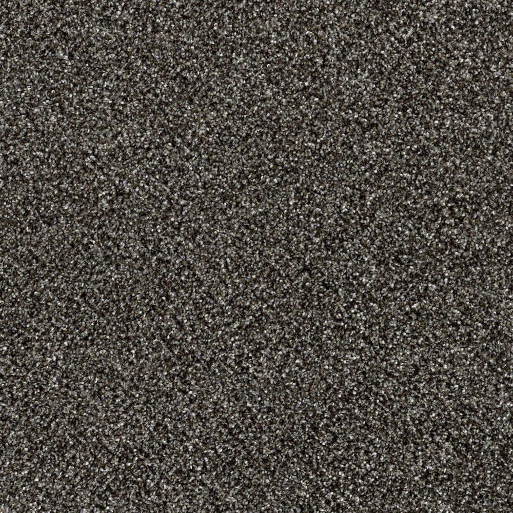 Shaw Making The Rules III 12" Carpet in Boulder, , large