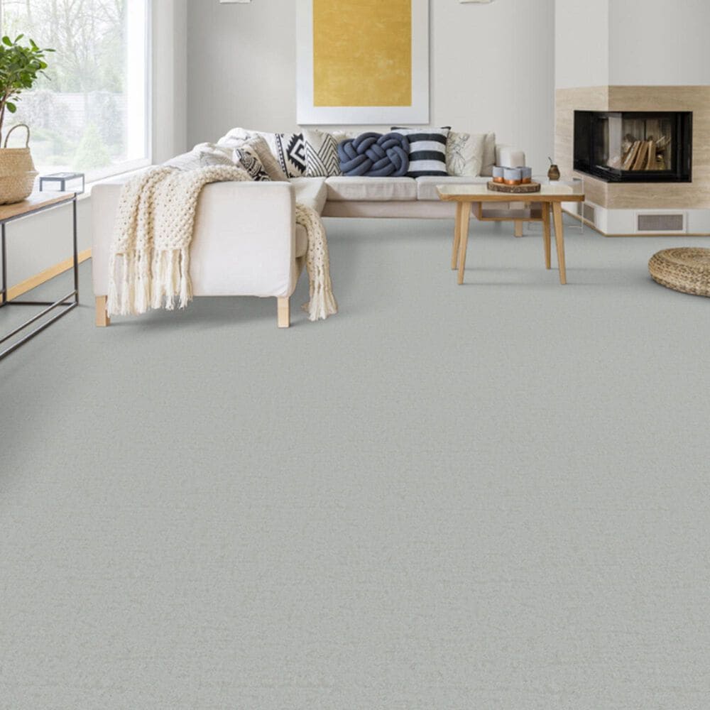 Dixie Home Genuine Carpet in Positive, , large