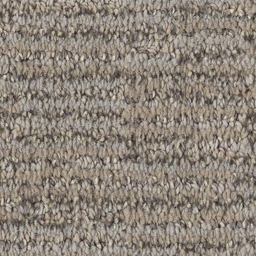 Anderson Tuftex Sneak Peek Carpet in Nightingale, , large