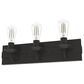 Hunter Perch Point 3-Light Vanity in Noble Bronze, , large