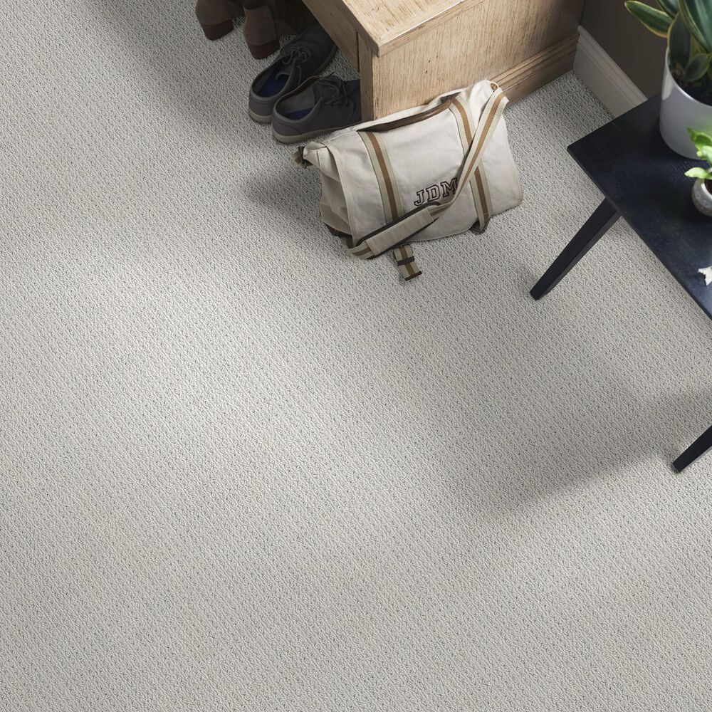 Anderson Tuftex Cabo Cove Carpet in Silverplate, , large