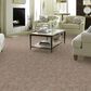 Anderson Tuftex Caress Free Spirit Carpet in Sandstone, , large