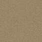 Shaw Basic Rules Carpet in Gold Rush, , large