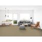 Dixie Home Culture Carpet in Avenue, , large