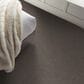 Shaw Live on Comfort Carpet in Woodcliff Brown, , large