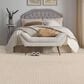 Masland Wonderwall Carpet in Illusion, , large