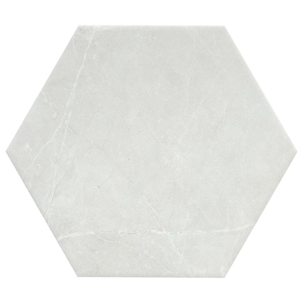 Emser Sterlina II Silver 8" x 10" Hexagon Porcelain Tile, , large