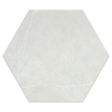 Emser Sterlina II Silver 8" x 10" Hexagon Porcelain Tile, , large