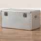 Baxton Studio Serge Storage Trunk in Silver, , large