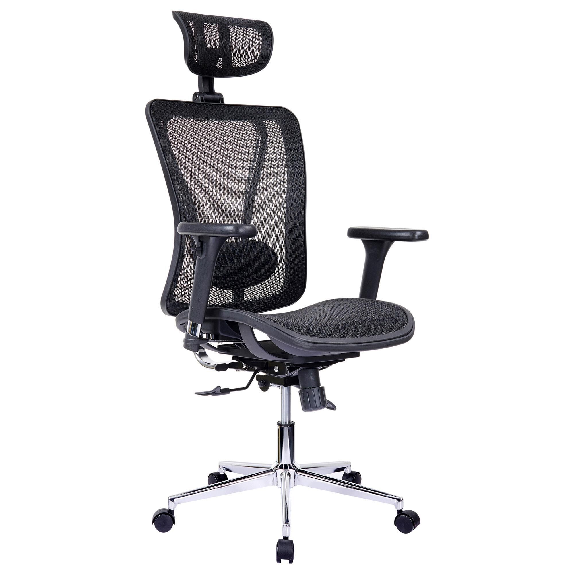 Rta Products Mesh Executive Chair with Headrest and Lumbar