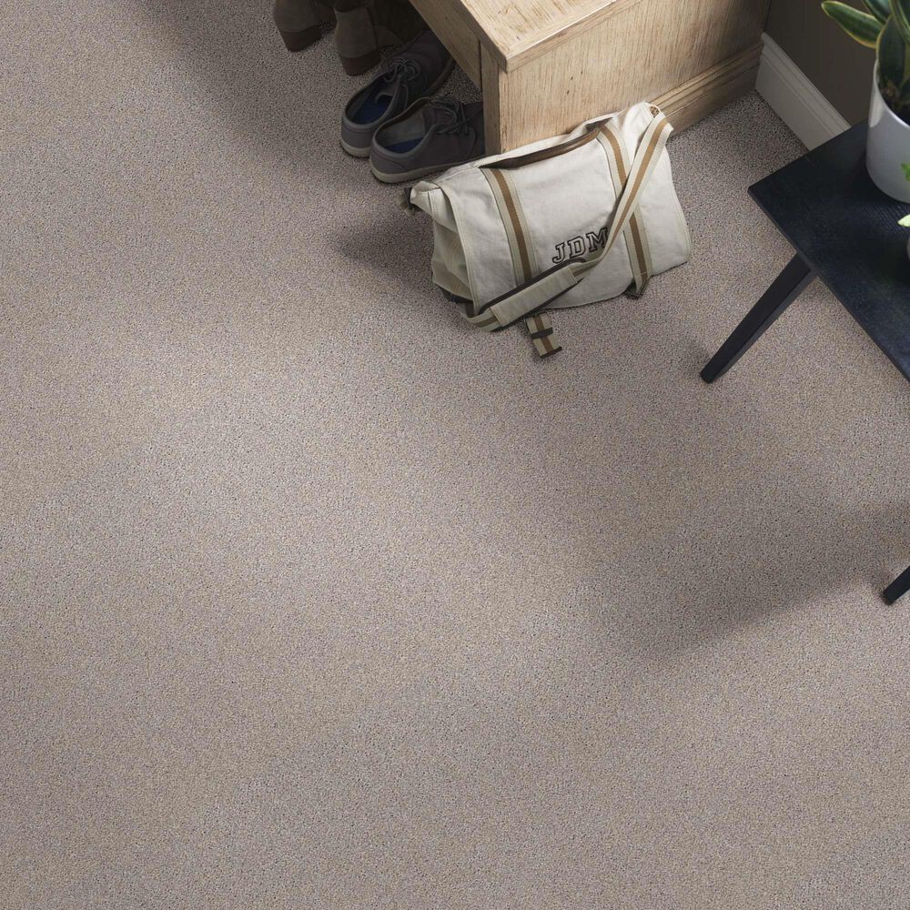 Anderson Tuftex Caress Cozy Harbor I Carpet in Baltic Stone, , large