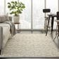 Nourison Aloha Damask 3"6" x 5"6" Natural Indoor/Outdoor Area Rug, , large