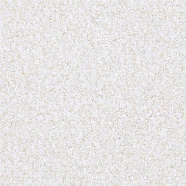 Masland Saint Luca Carpet in Trustworthy, , large