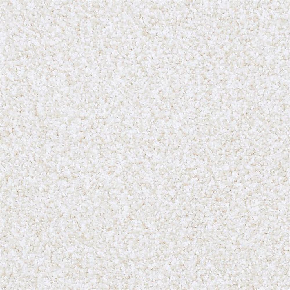 Masland Saint Luca Carpet in Trustworthy, , large