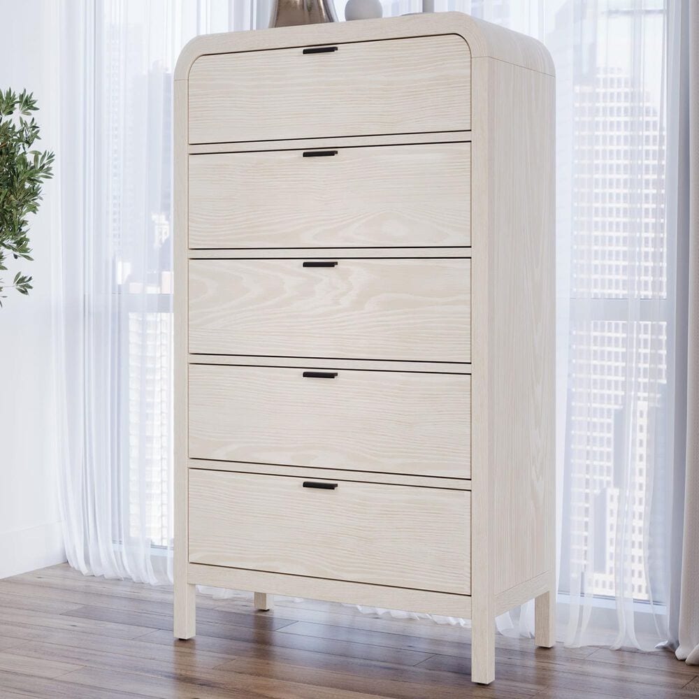 Urban Home Drake 5-Drawer Chest in White, , large