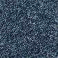 Shaw Find Your Comfort TT II Carpet in Twilight Golf, , large