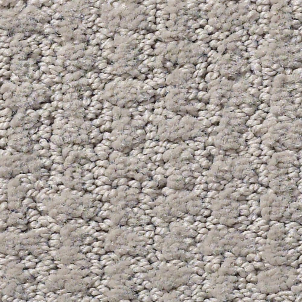 Shaw Foundations Complete Control Carpet in Silhouette, , large