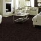 Philadelphia Caress Free Spirit Carpet in Burma Brown, , large