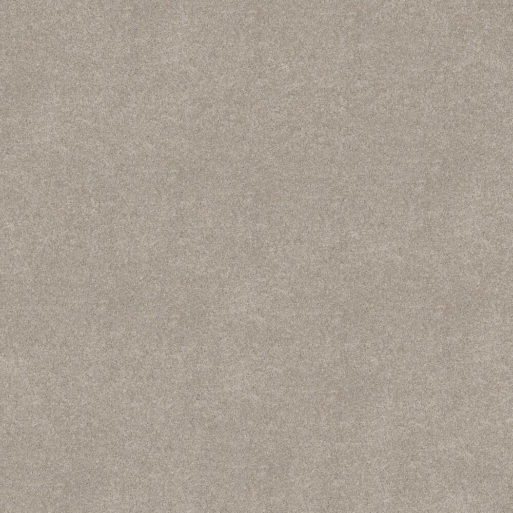 Philadelphia Delicate Feel I Carpet in Chic Taupe, , large