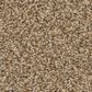 Anderson Tuftex Wyndham Estate Carpet in Powdered Gold, , large