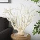 Maple and Jade 21.10" Coral Decorative Sculpture in Cream and Clear, , large