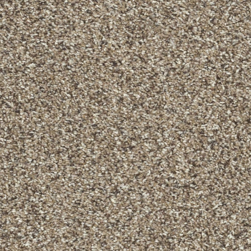 Dream Weaver Toast of The Town Carpet in Briarwood, , large