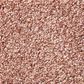 Shaw Find Your Comfort TT II Carpet in Open The Rose, , large